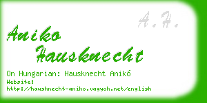 aniko hausknecht business card